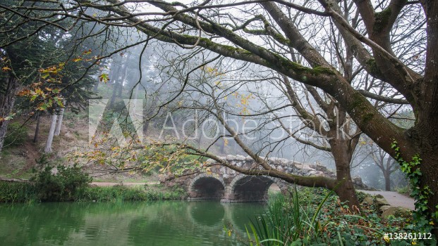 Bild på Stow Lake Stone Bridge and Dead Trees in Golden State Park San Francisco on a Foggy Winter Morning